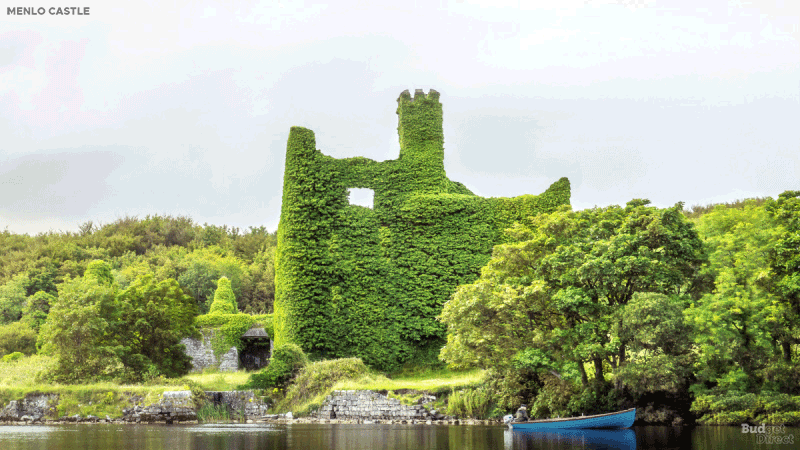 Menlo Castle was a stately home in 16th-century Ireland. Today it's a decayed, ivy-covered ruin.