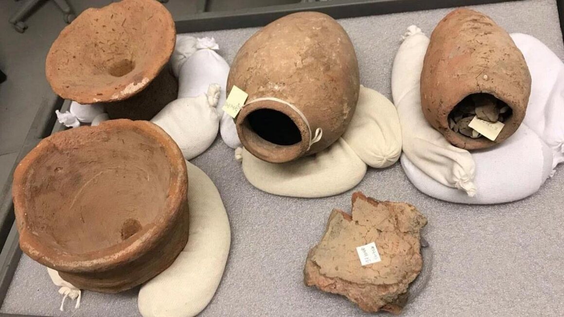 Mucho después de que la levadura se haya alimentado, puede permanecer inactiva en la cerámica durante siglos. CAROLINE QUINN/SEAMUS BLACKLEY
