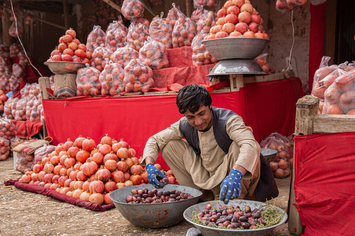 A vendor sells pomegranates and figs in Samangan province, northern Afghanistan. 