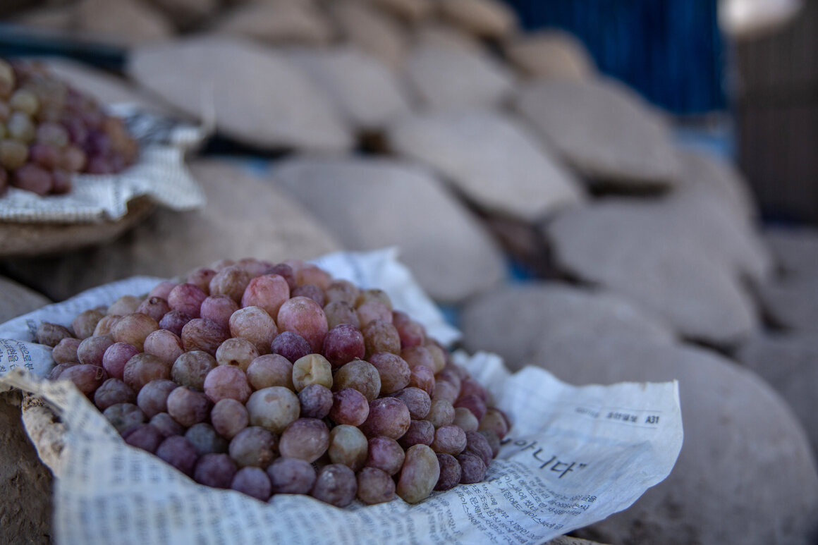 The grapes are stored for up to six months, kept fresh in airtight mud-straw containers.