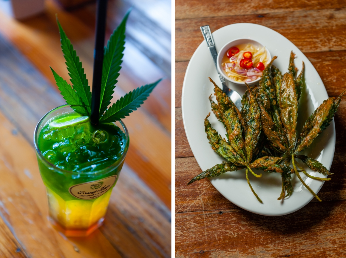 A drink of tea, passionfruit juice, and freshly juiced raw marijuana leaves at Ban Lao Reung (left) and their marijuana tempura (right).