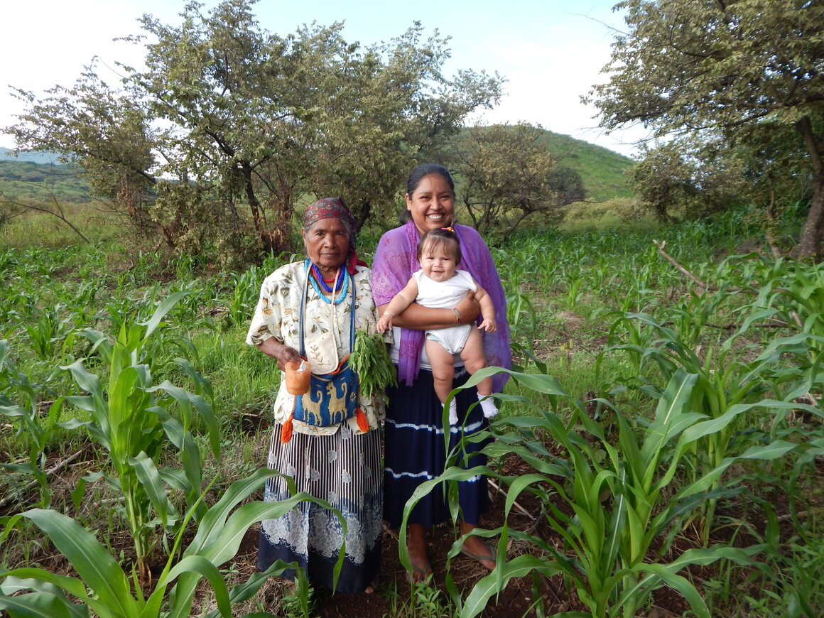 Cyndy Garcia-Weyandt with her daughter and godmother after leaving offerings in a cornfield in Mexico.