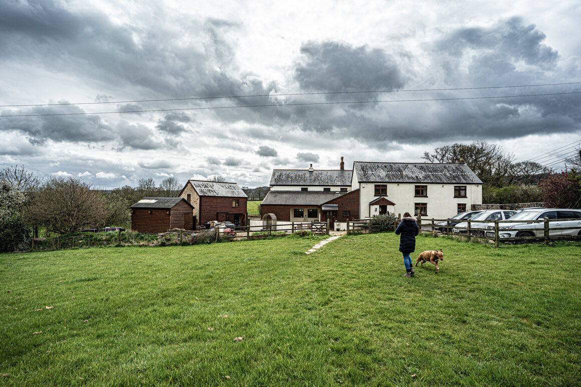 The Paxman's (snail) farm.