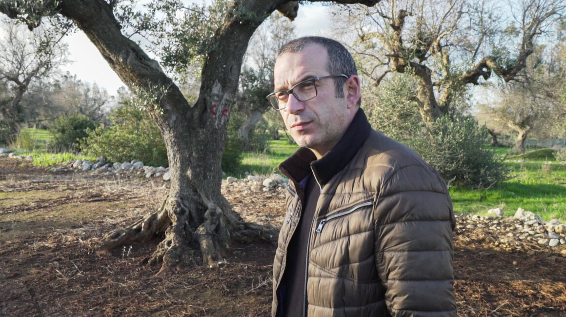 Agronomist Giovanni Melcarne invested his life savings to find a way to stop <em>Xylella</em>.