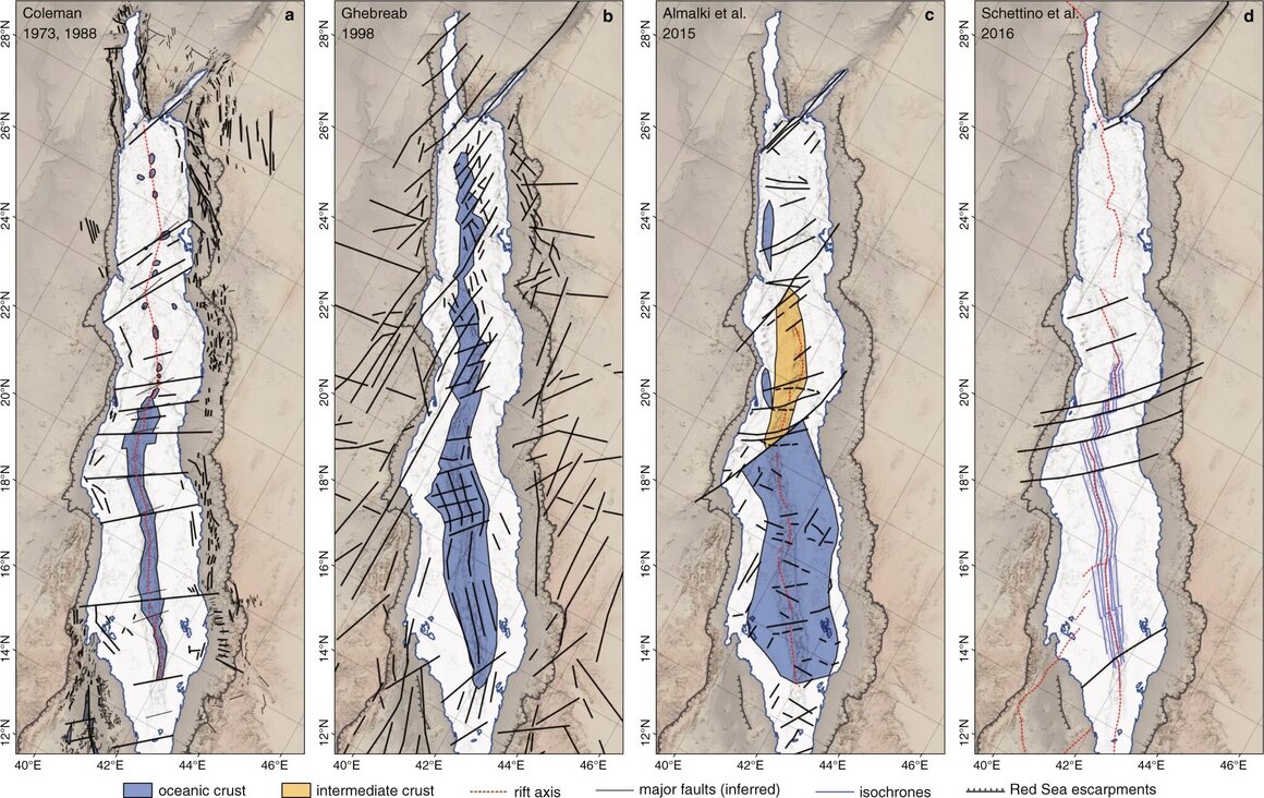 A sampling of models of the Red Sea's geology, which disagree on how much oceanic crust (in blue) may exist beneath a thick blanket of salt.