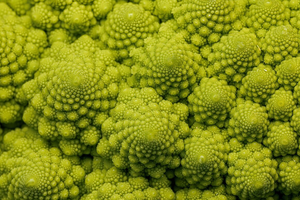 Bright green romanesco, a relative of broccoli, is one of nature's tastier fractals.