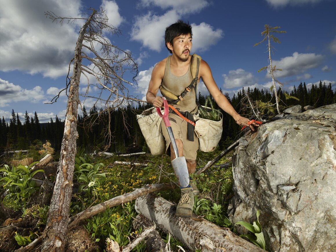 <em>Tree Planter Aaron Wong</em>, 2017.