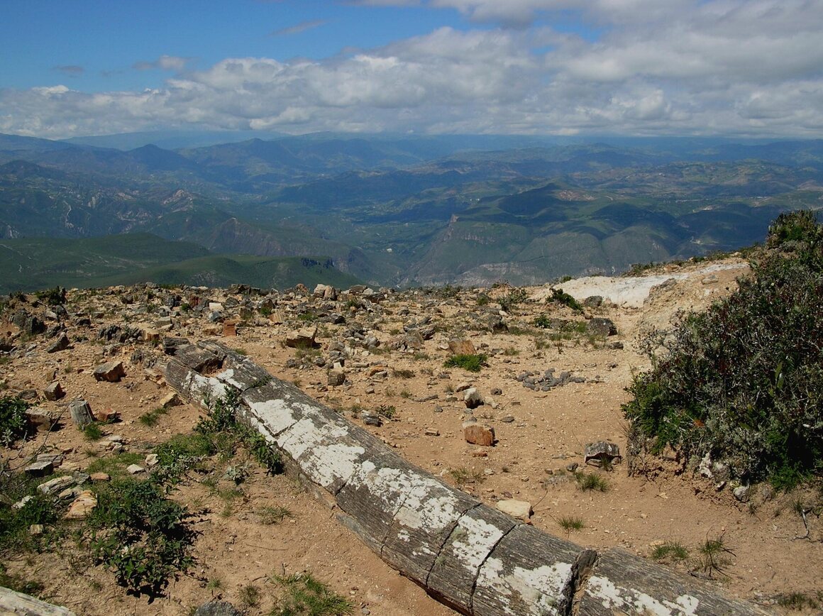 A petrified log, now at a high elevation near Sexi, Peru, was once part of a lush, lowland forest.