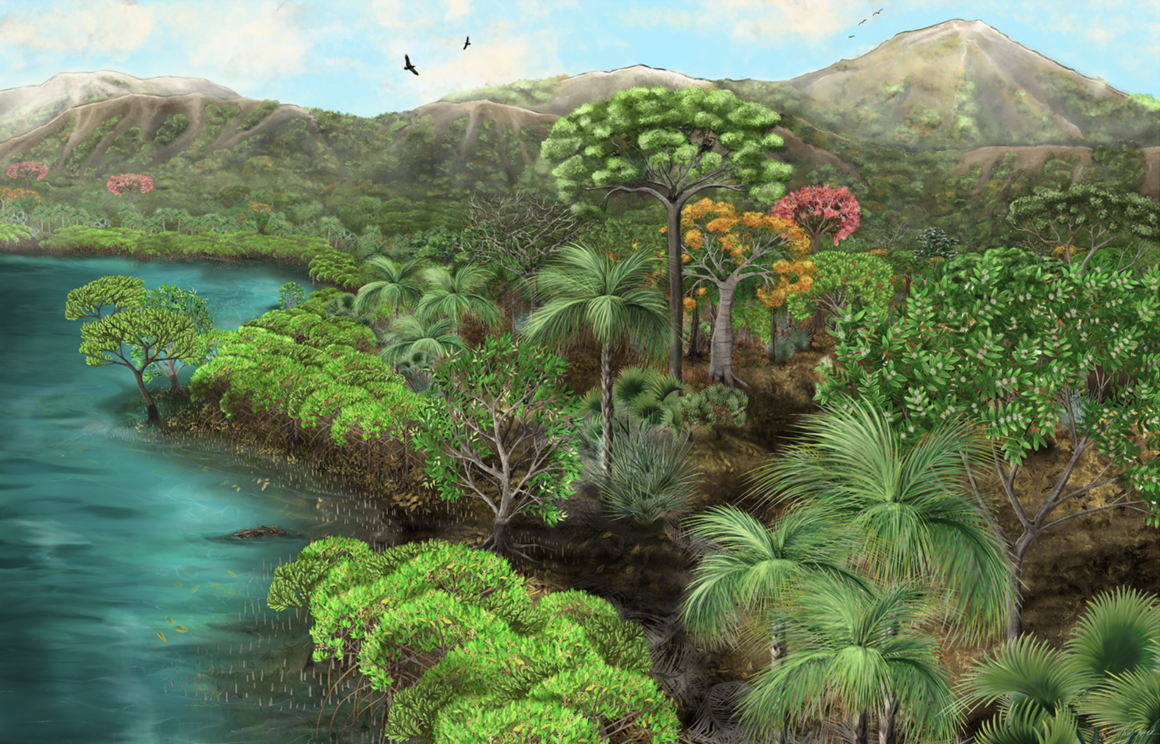 Artist reconstruction of the petrified forest of Piedra Chamana as it looked 39 million years ago.