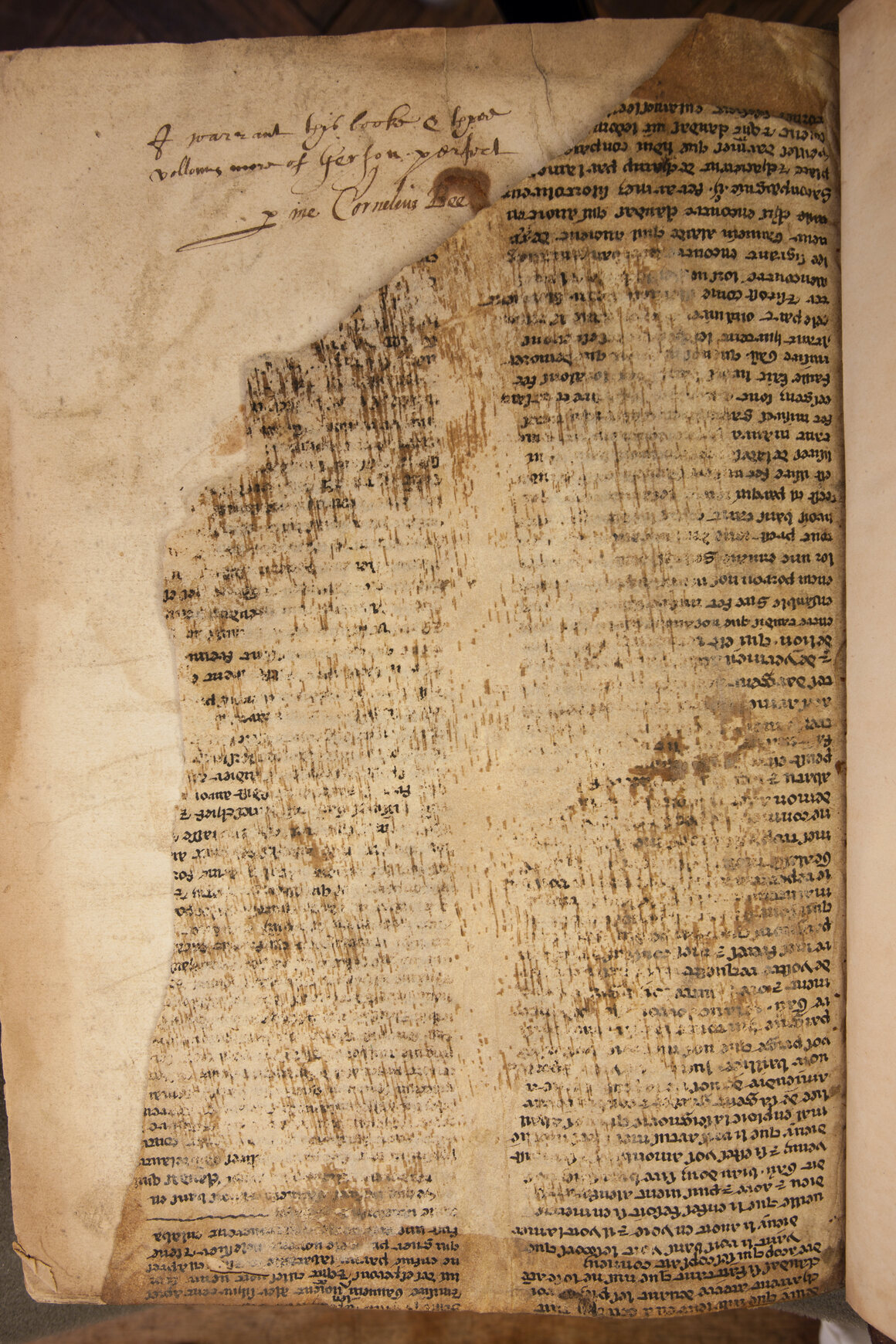 This fragment of the 
