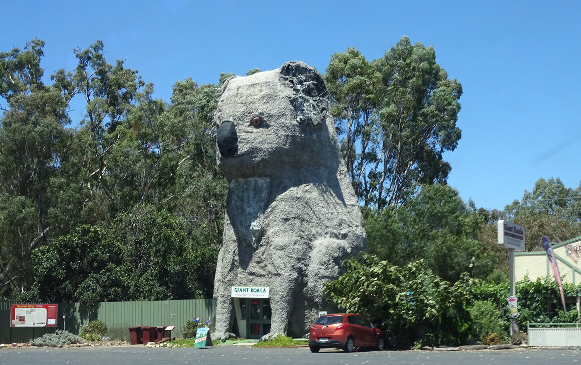 The Giant Koala, in the small town of Dadswells Bridge.