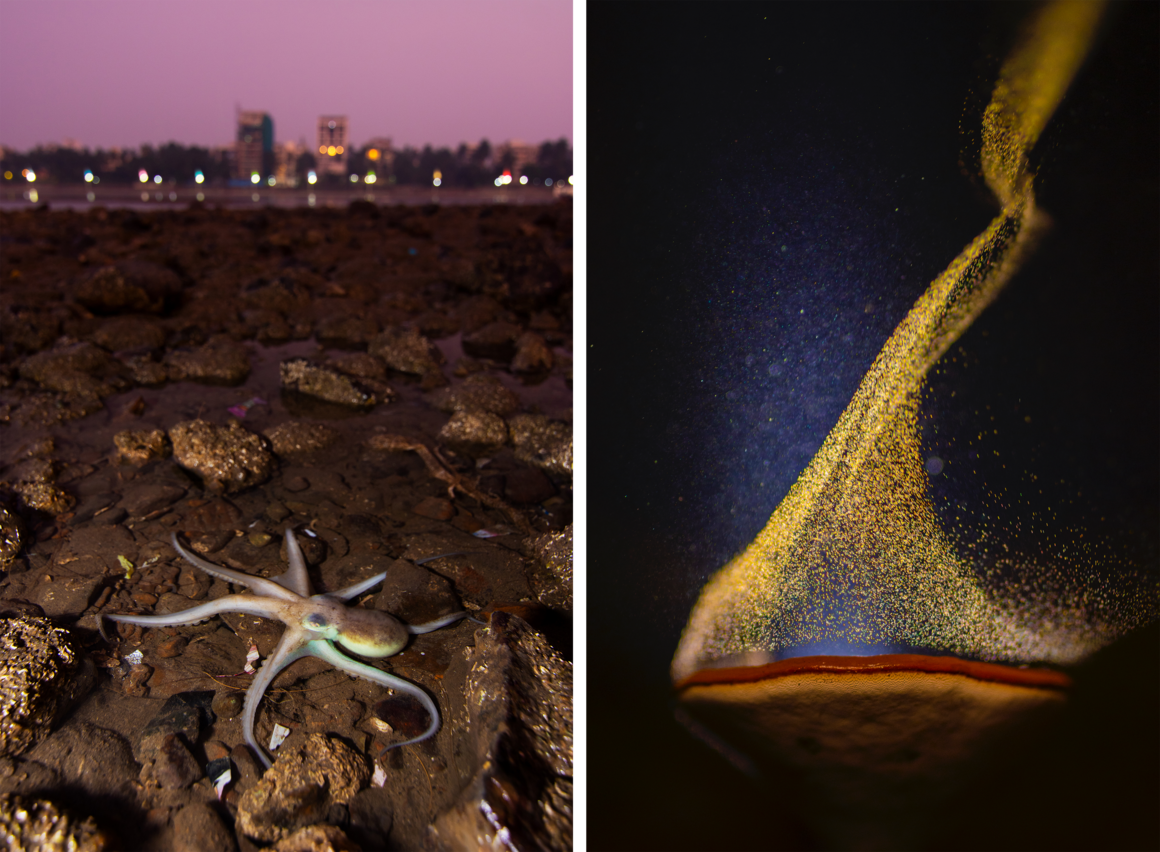 An octopus at Mumbai's Juhu Beach (left); the award-winning <em>Goblet of Fire</em> image captures mushroom spores being carried off by the wind. 