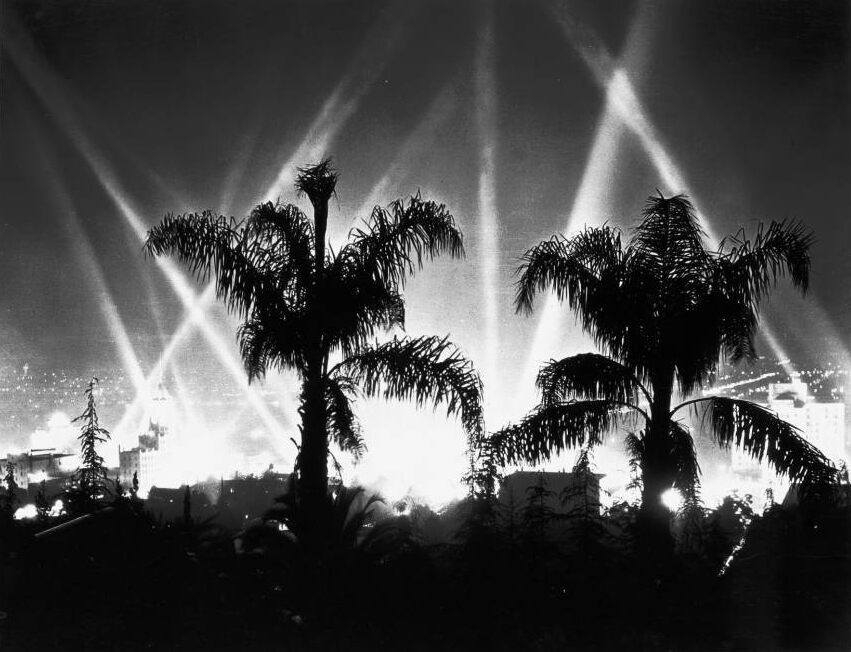 Why Are There Palm Trees In Los Angeles Atlas Obscura