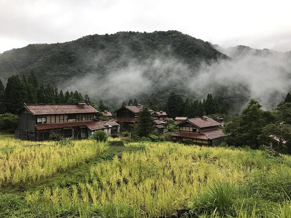 The Man Reviving His Abandoned Village by Growing Rice