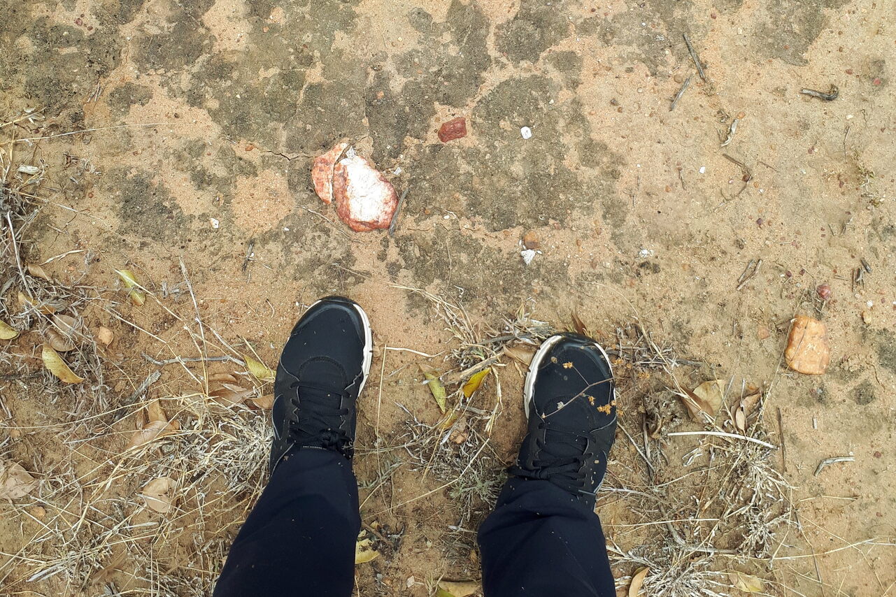 The slight crunch underfoot is a biocrust—critical to healthy ecosystems. 