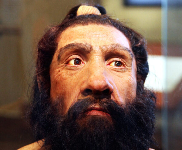 Listen to the Surprisingly Goofy Voice of a Neanderthal ...
