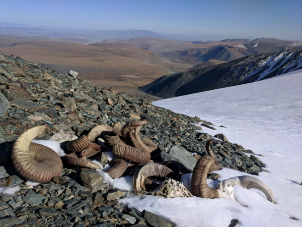 Mongolia’s Melting Ice Reveals Fragile Prehistoric Artifacts