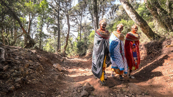 Women in Northern Kenya Rally to Save a Forest