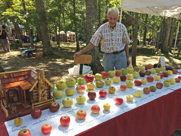 As Tom Brown leads a  pair of young, aspiring homesteaders through his home apple orchard in Clemmons, North Carolina, he gestures at clusters of matu