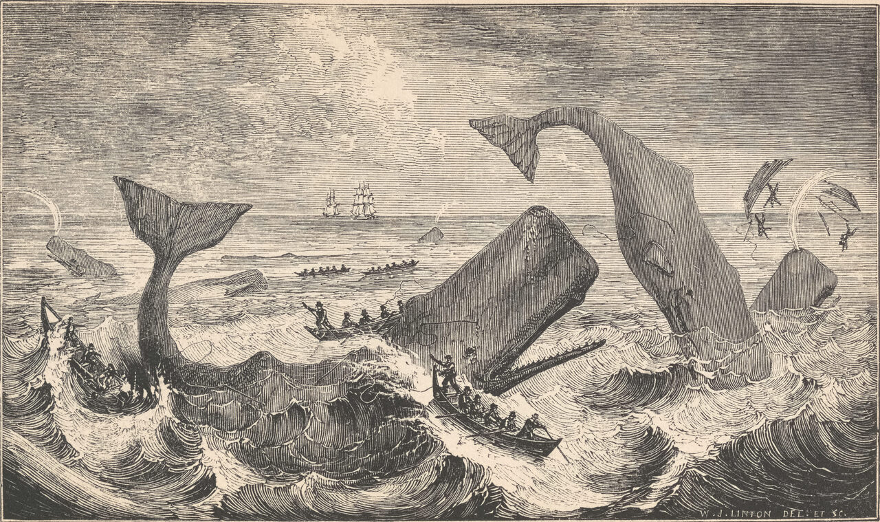 The Moby Dick Musical Is Swimming With Sea Shanties And Nurdle Ballads Atlas Obscura