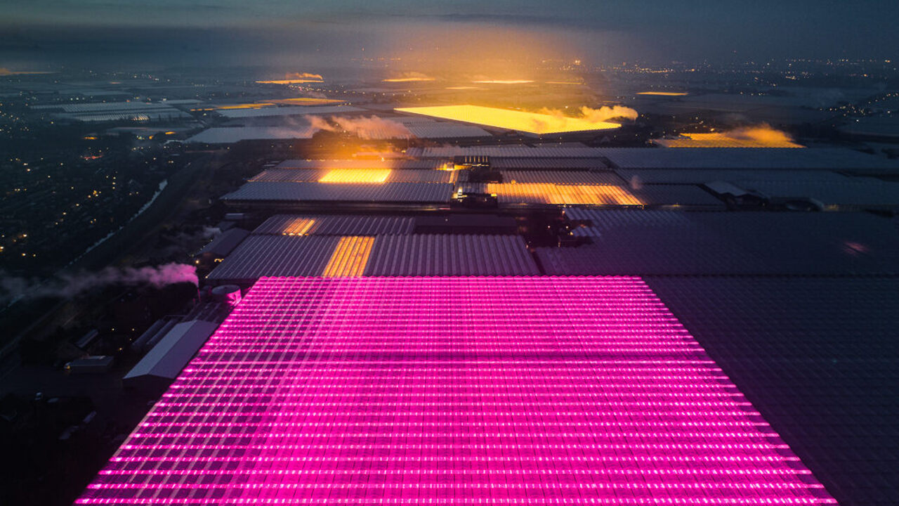 Glowing Dutch Greenhouses As Seen From Way Up High Atlas Obscura