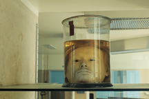 The head of Diogo Alves