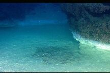 The brine pool's 