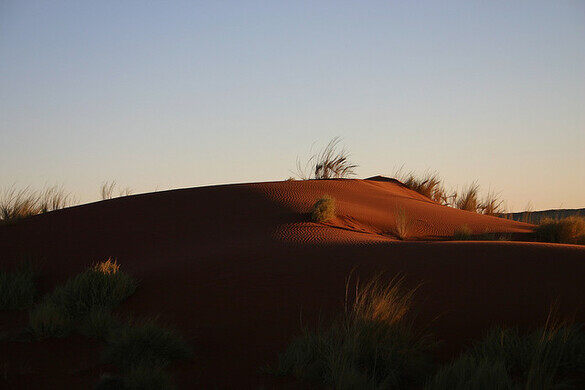 Namib Sand Sea – Namibia - Atlas Obscura