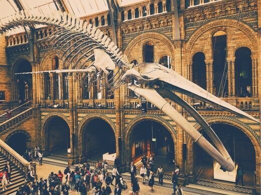 Natural History Museum of London - London, England - Atlas ...