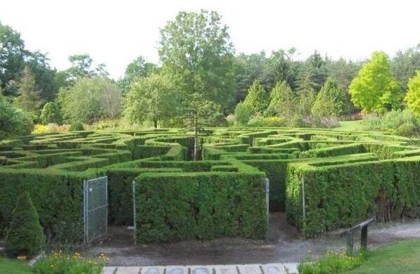 Vandusen Garden S Elizabethan Hedge Maze Vancouver British