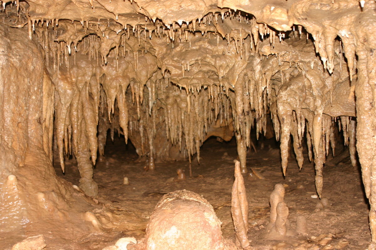 Florida Caverns State Park - Marianna, Florida - Atlas Obscura