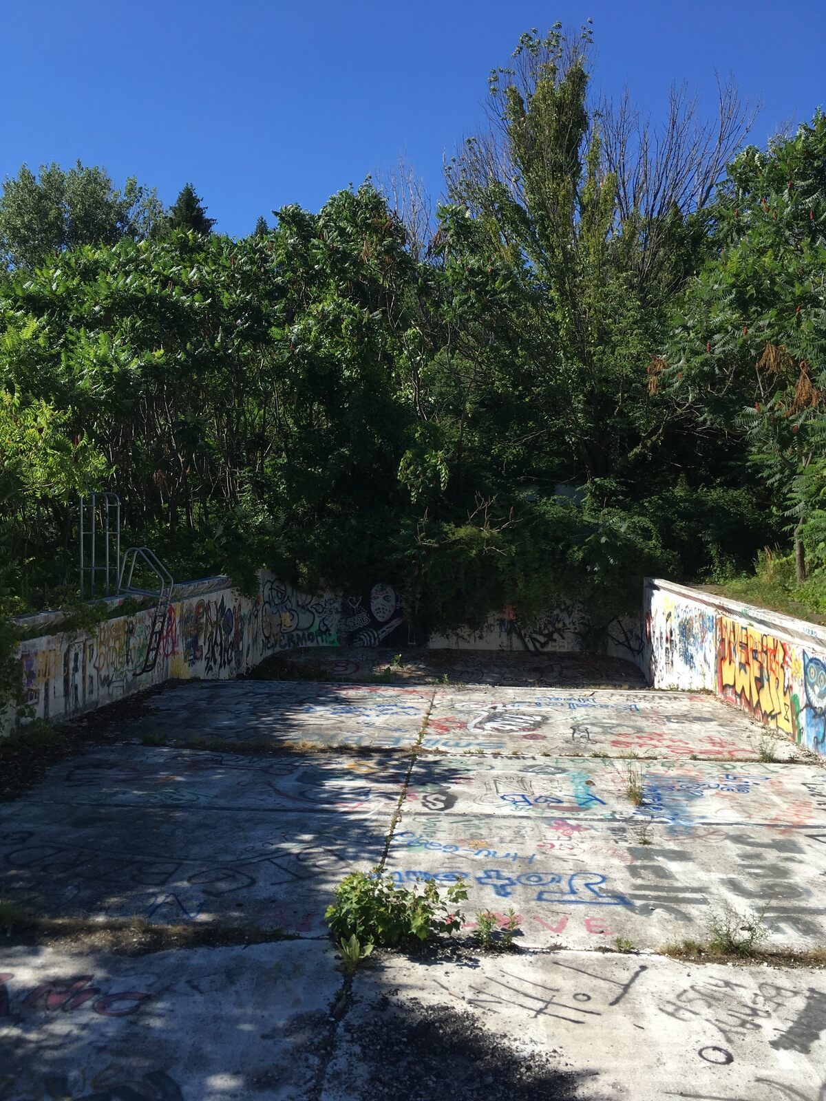 Abandoned Girl Scout Camp at Beechwood State Park – Sodus, New York ...