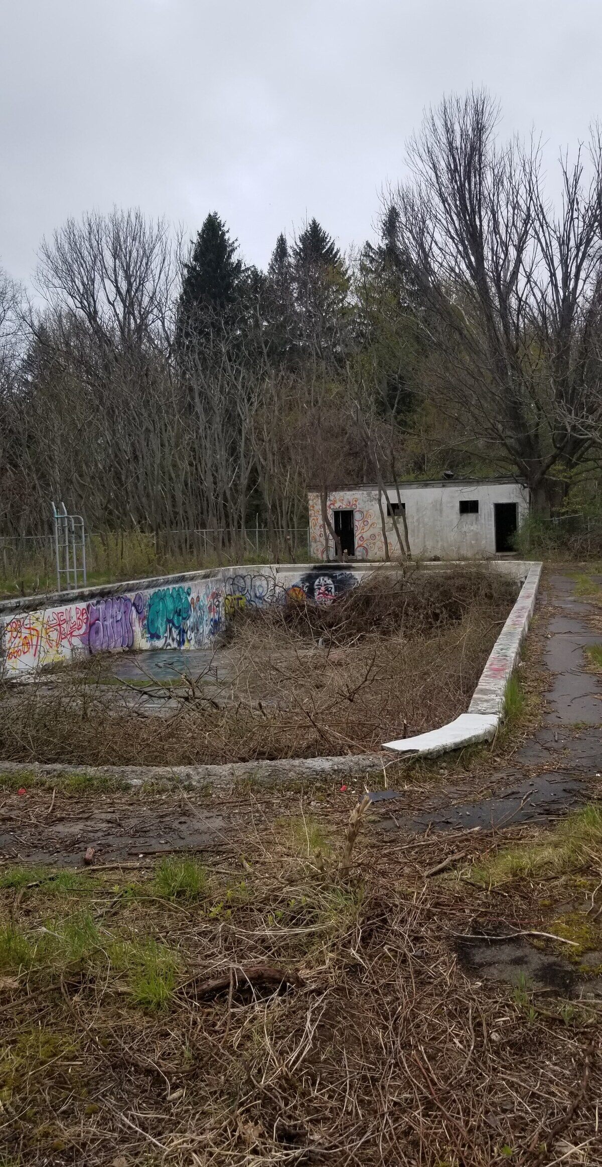 Abandoned Girl Scout Camp at Beechwood State Park – Sodus, New York ...