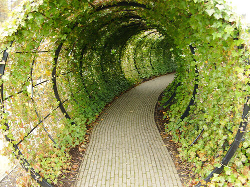 Alnwick Poison Garden Alnwick England Atlas Obscura