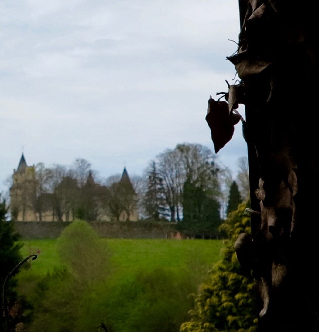 Замки Германии: Драхенбург (Schloss Drachenburg) Germany castles, Castle, Peles 