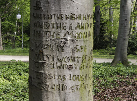 Stand By Me Tree Berlin Germany Atlas Obscura