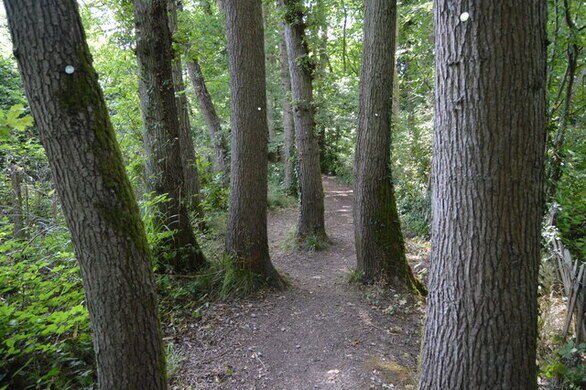 yorkshire long distance walks
