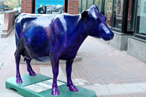Cow along Stephen Avenue in downtown Calgary, 2007.