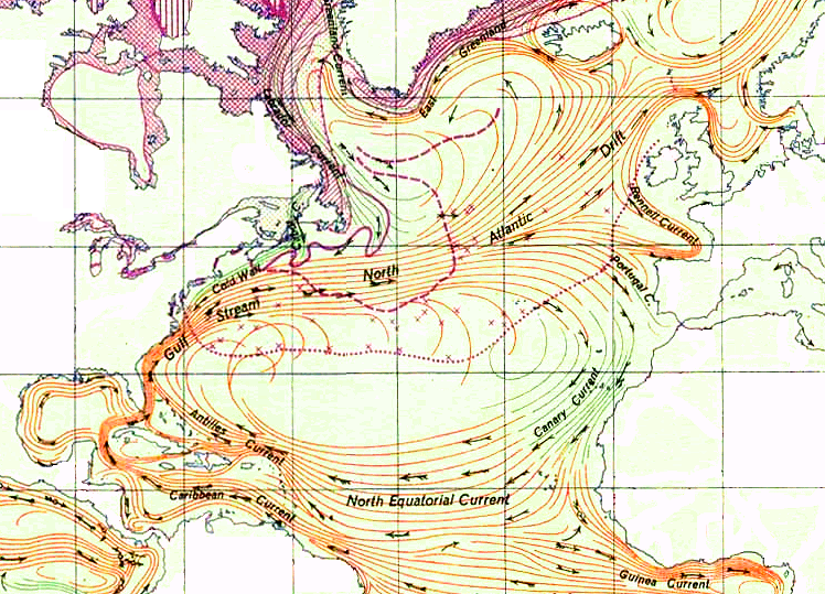 Sargasso Sea – North Atlantic Ocean - Atlas Obscura