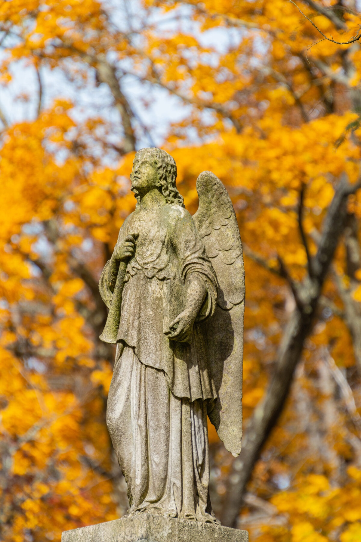 wilde funeral home parkesburg pa