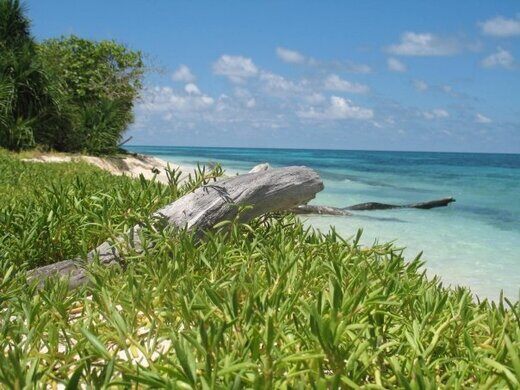 Ursula Island – Puerto Princesa, Philippines - Atlas Obscura