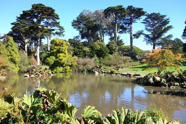 San Francisco Botanical Gardens San Francisco California