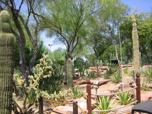 Ethel M Botanical Cactus Garden Henderson Nevada Atlas Obscura