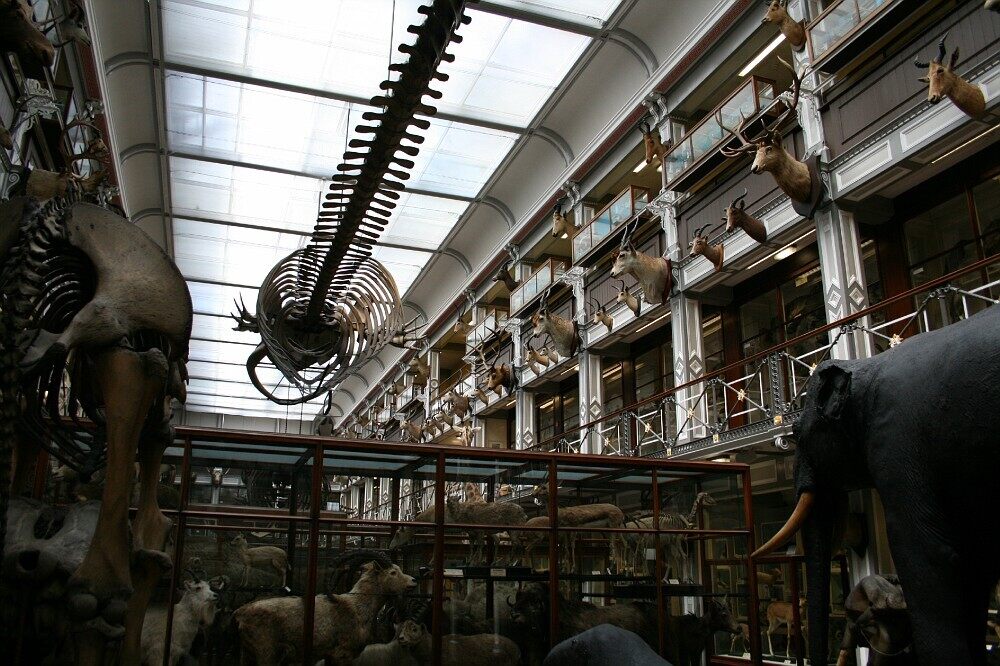 Natural History building, National Museum of Ireland ...