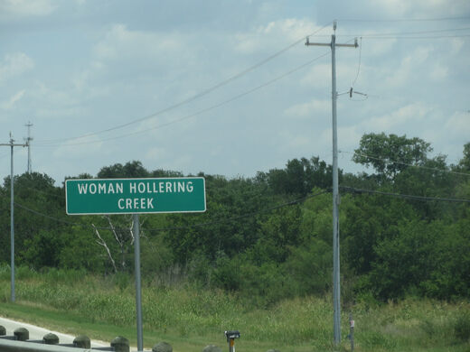 woman hollering creek discussion questions