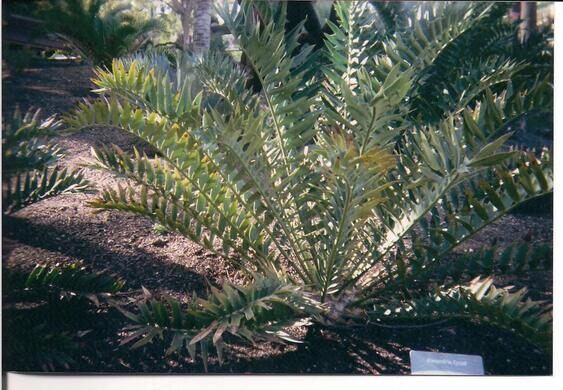 Los Angeles Zoo Botanical Gardens Los Angeles California