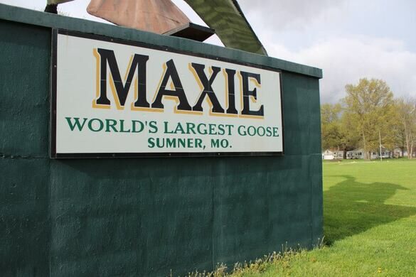 Maxie, The World&#39;s Largest Goose – Sumner, Missouri - Atlas Obscura