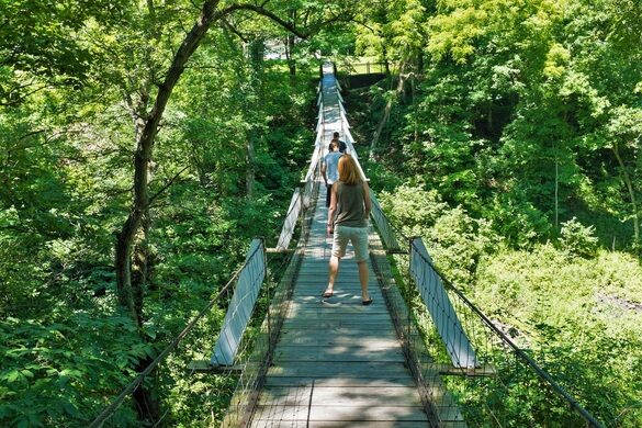 Lover S Leap Swinging Bridge Columbus Junction Iowa