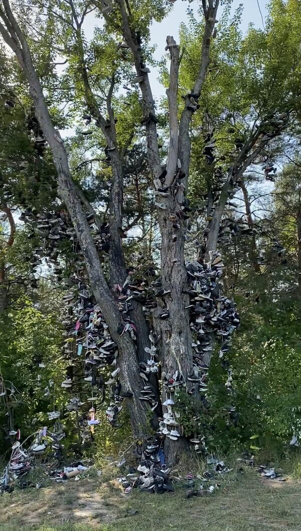 Kalkaska Shoe Tree – Kalkaska, Michigan - Atlas Obscura