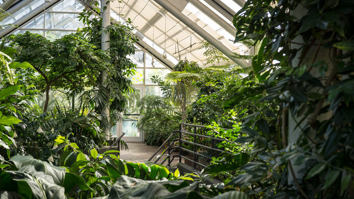 Brooklyn Botanic Garden – Brooklyn, New York - Atlas Obscura